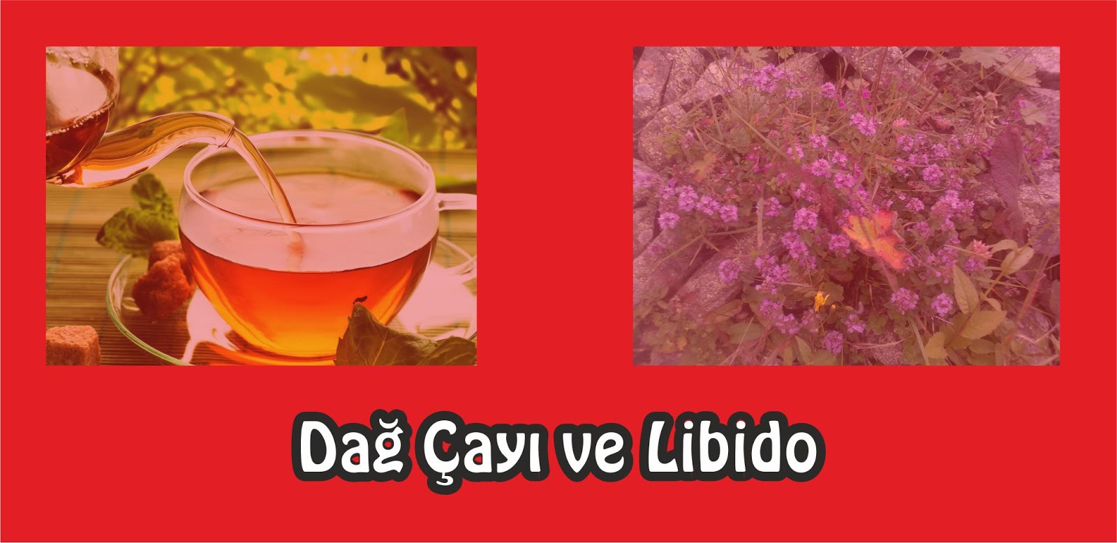 Çayı bu şekilde içmeyin çay nasıl içilmeli çayın faydası çayın zararı Çayı bu şekilde içmeyin çay nasıl içilmeli çayın faydası çayın zararı