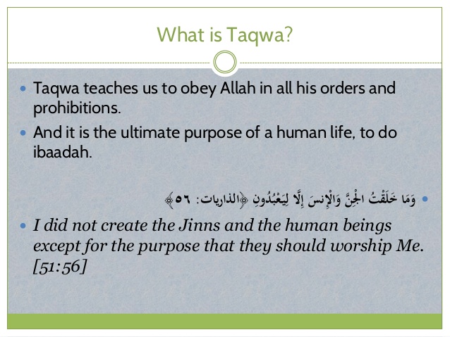 What is Taqwa in Islam?