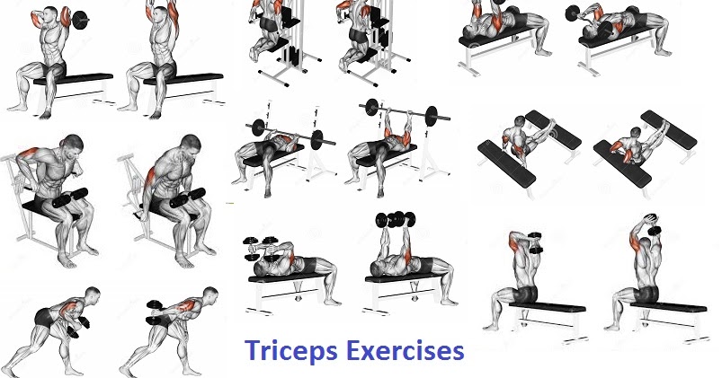 How to Get Bigger Triceps