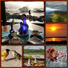 African Safari Is Affordable For You