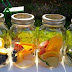 Khasiat Infused Water