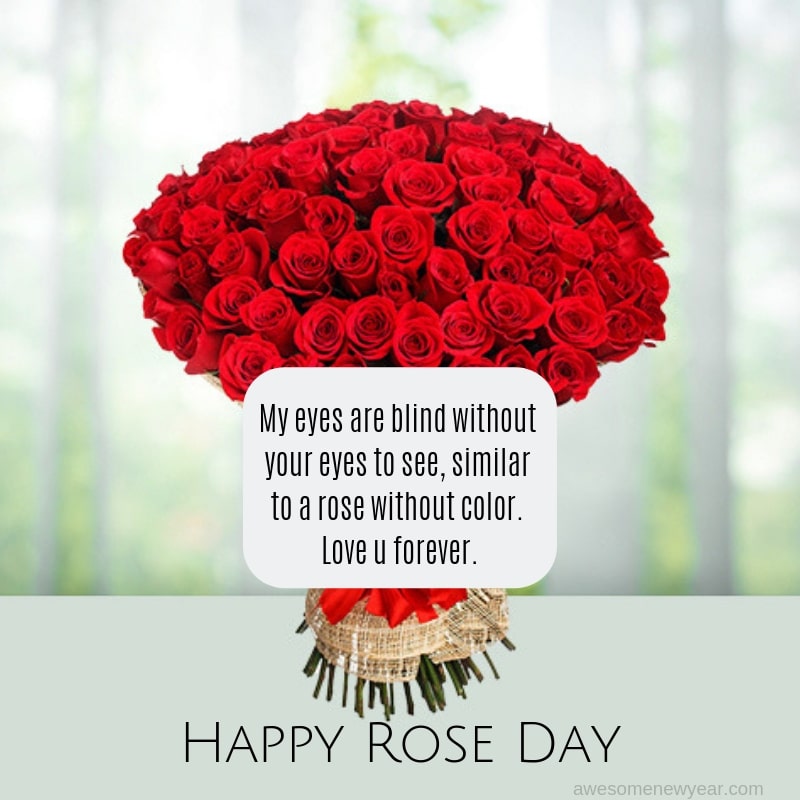 Lovely Rose Day Quotes with Images | Happy Rose Day