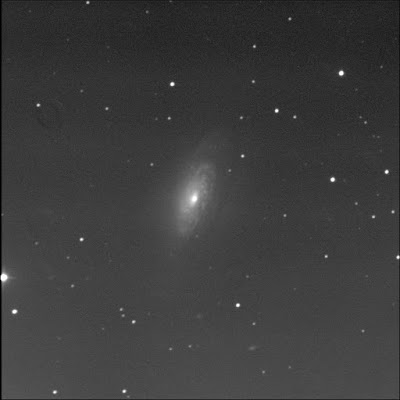 spiral galaxy NGC 3521 in luminance