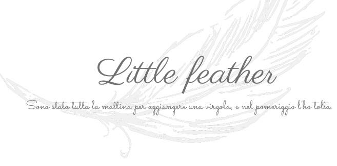 Little feather