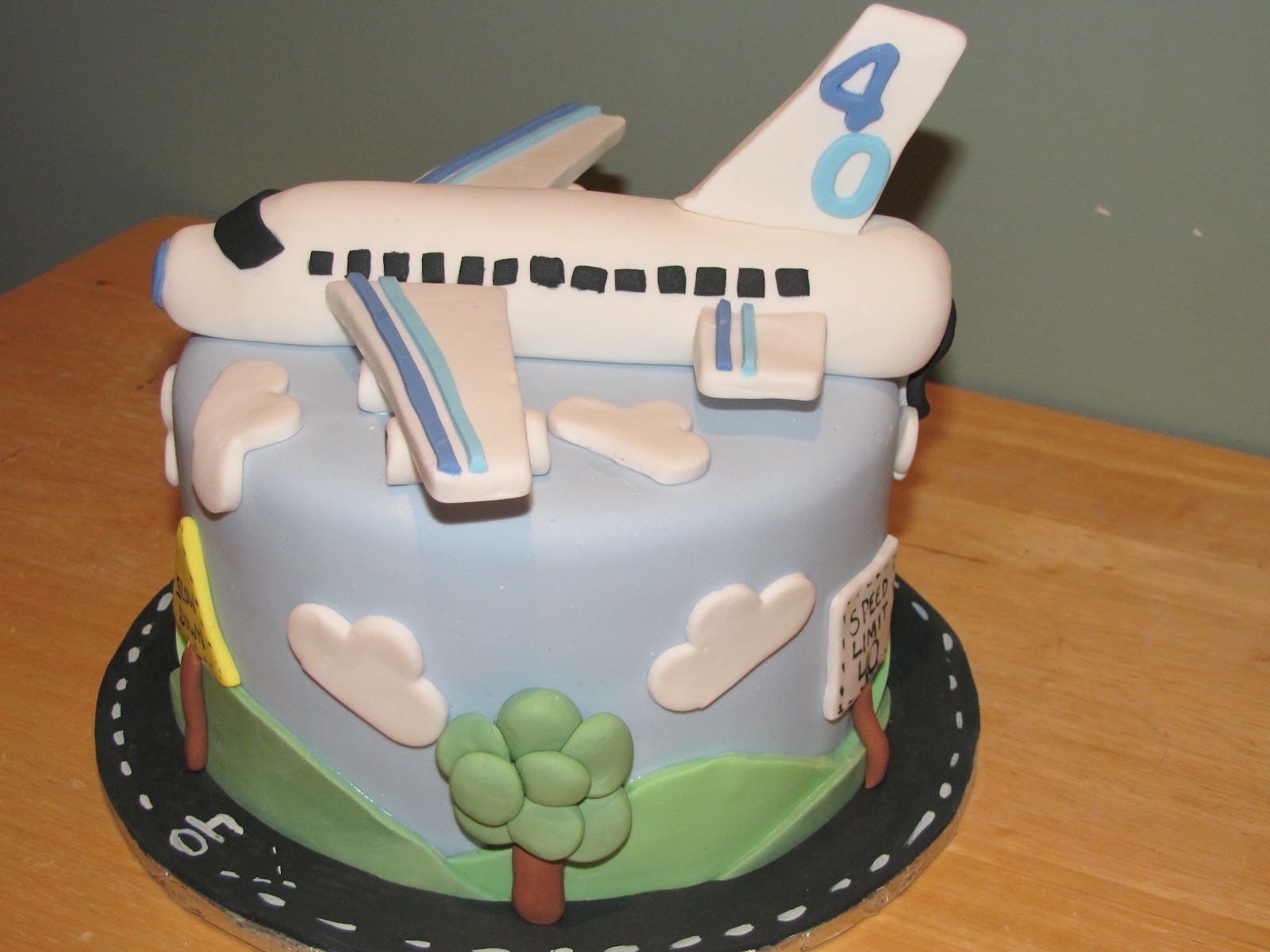 Ann Marie's Creative Cakes 40th Airplane Cake and Cupcakes