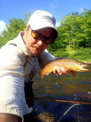 Wild Brown Trout Diable River