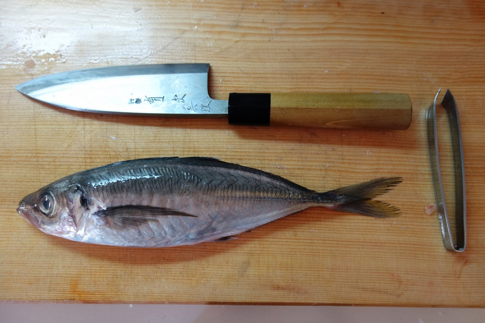 TANGCANCOOK AJI JAPANESE MACKERAL