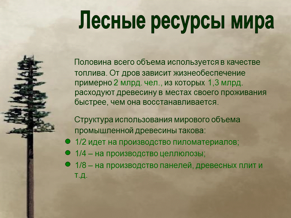 Древесина в строительстве материалы из древесины. Охрана и защита леса. Проблемы сохранения лесов цели и задачи. Естественное возобновление леса. Проблема лесных ресурсов в мире.