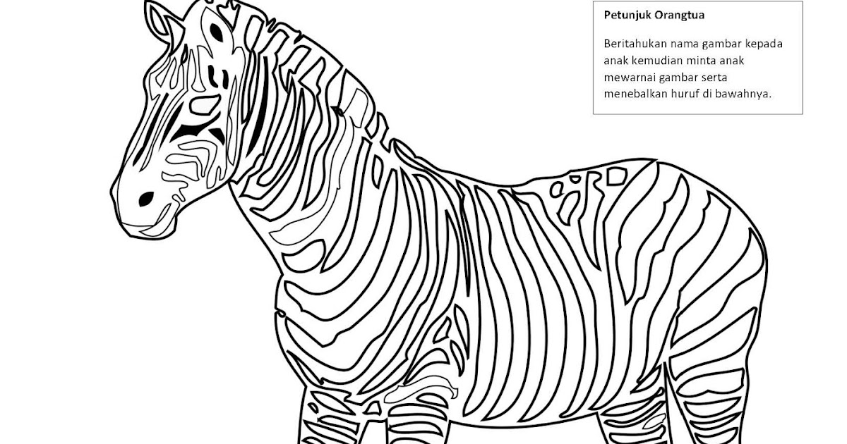 Menebalkan Huruf Z dan Mewarnai Gambar Zebra