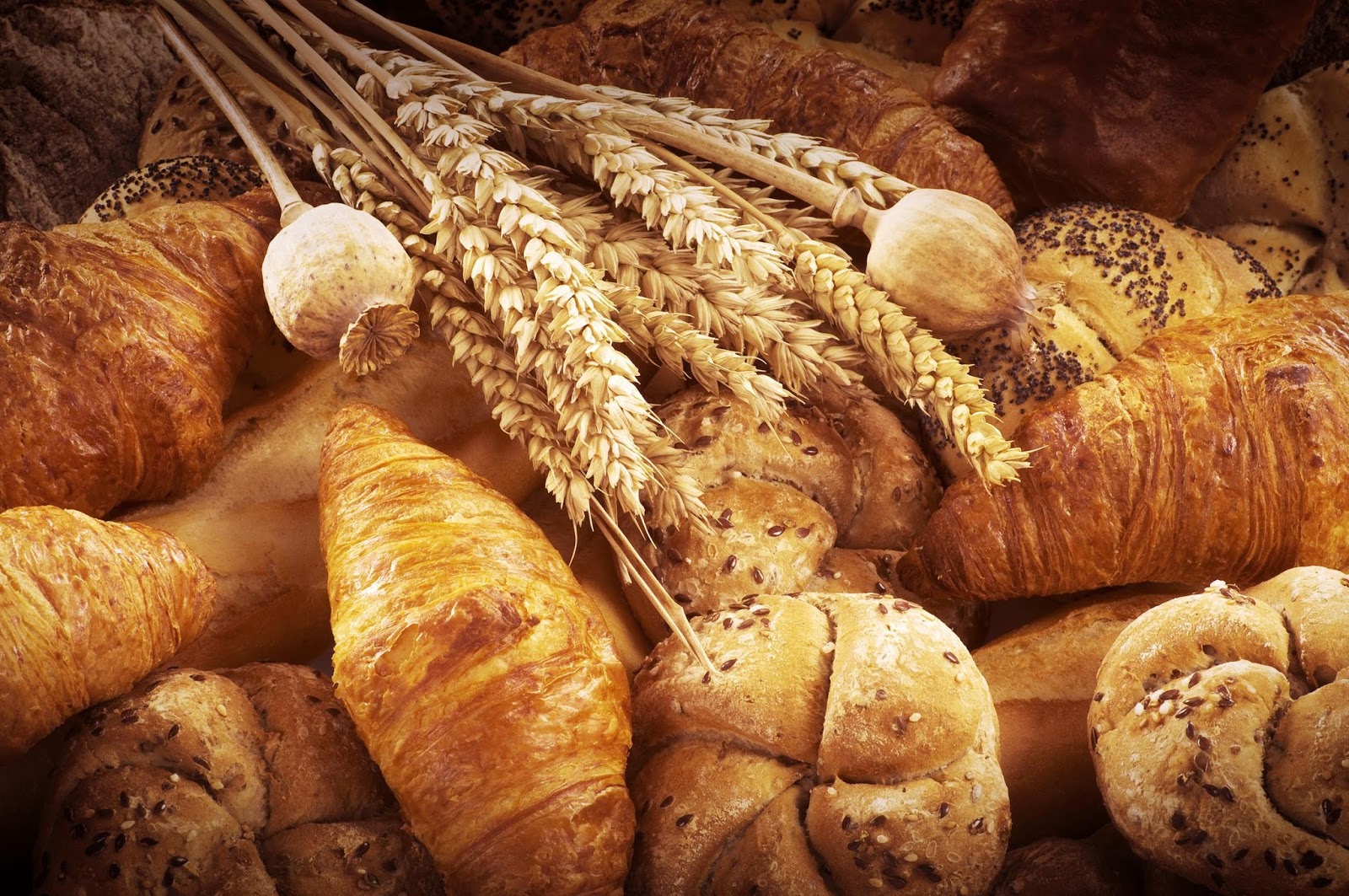 Como almacenar o guardar el pan Chipa Tremendo Como almacenar o guardar el pan Chipa Tremendo