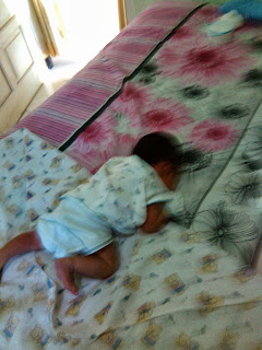 segores sayatan kunai