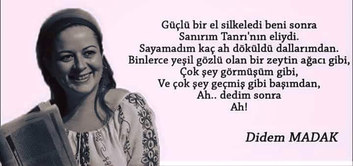 İçerik: Didem Madak Kimdir? | Ah'lar Ağacından Çiçekli Şiirlere Didem Madak Didem Madak kimdir : Didem Madak Hayatı ve Nereli? wikikultur.com