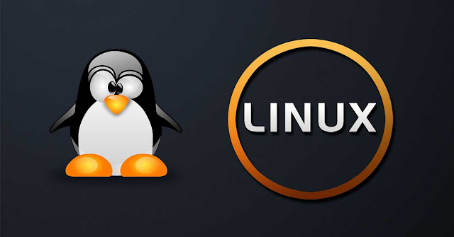 Paste Command, Linux Command, Linux Tutorial and Materials, Linux Learning