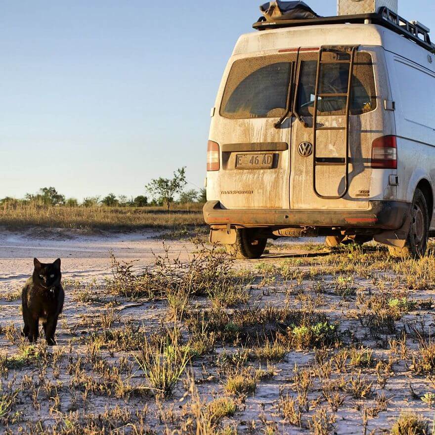 A Guy Quit His Job And Sold Everything 2.5 Years Ago To Travel With His Cat Willow In A Campervan
