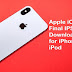 Apple iOS 11.4.1 Final IPSW Official Download Links for iPhone, iPad, iPod