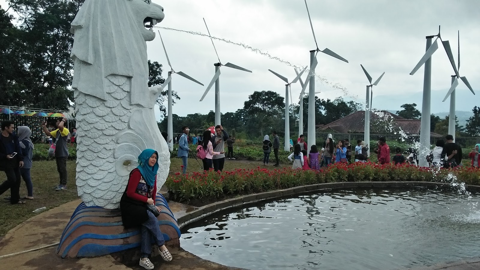  Taman  Bunga  Celosia  bandungan rasa luar negeri Warna 