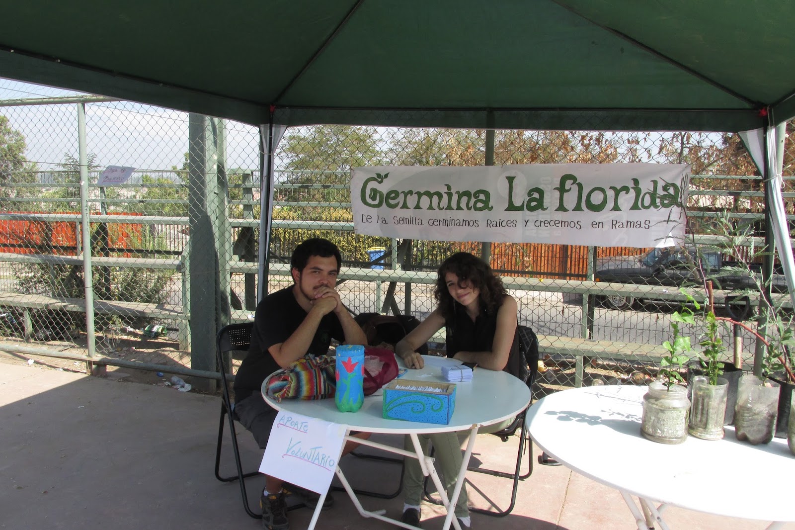 Germina La Florida: La Loma se Vuelve Nativa!