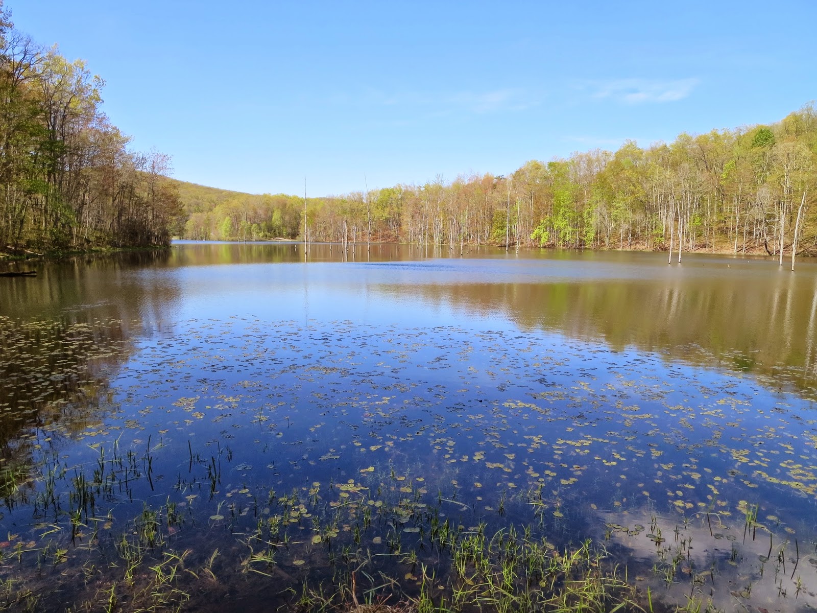 Lee County Hiking Club Lake Keokee Loop