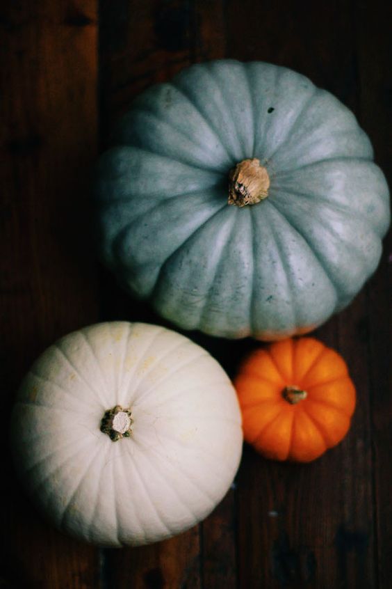 the pink clutch: Blue Pumpkins #yesplease