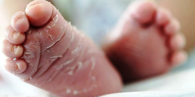 Mayat Bayi Perempuan Ini Gegerkan Masyaraka Bone Sulawesi Selatan