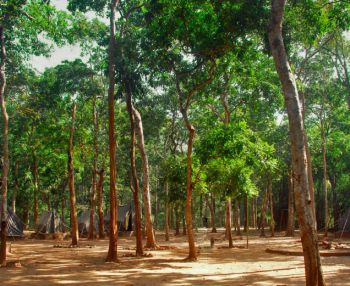 Maredumilli Eco Tourism