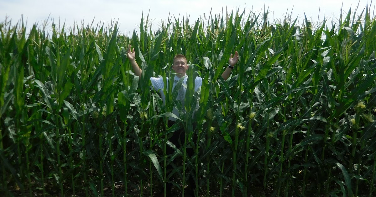 Elder Jacob Anderson Heat Wave/Corn Wave