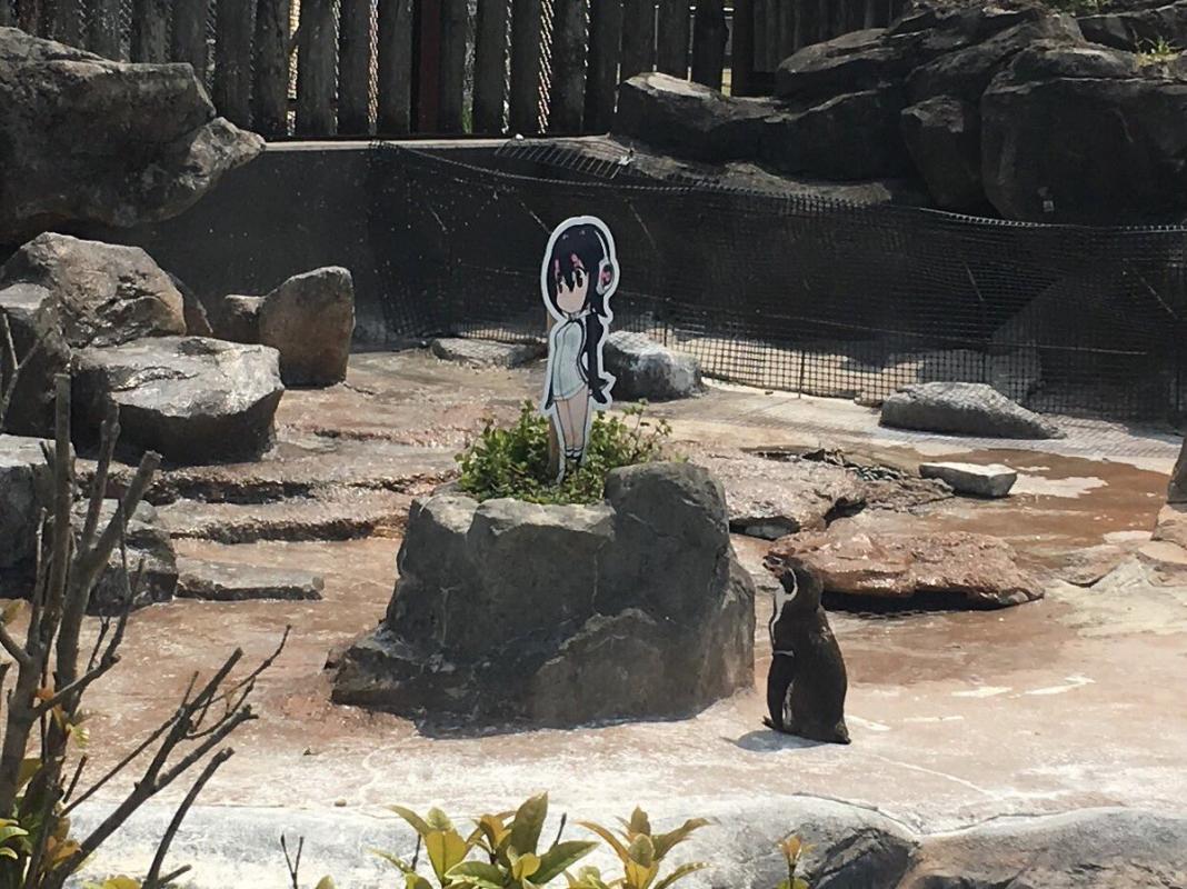 Kemono Friends Kemono Friends