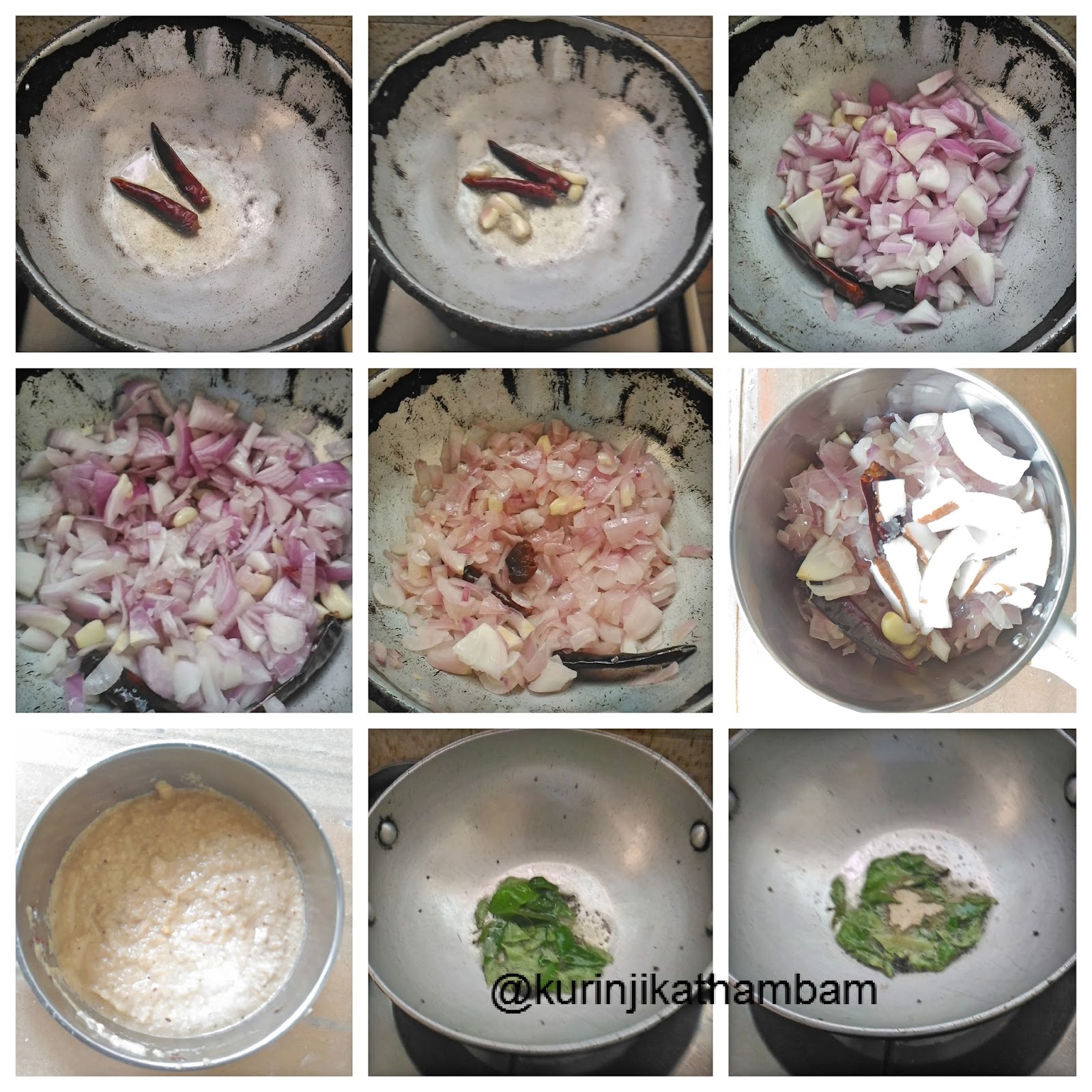 Onion Coconut Chutney Kurinji Kathambam