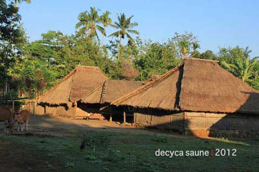 desa adat senaru lombok utara