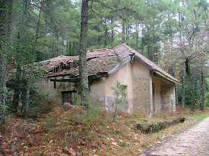 Antigua casa forestal