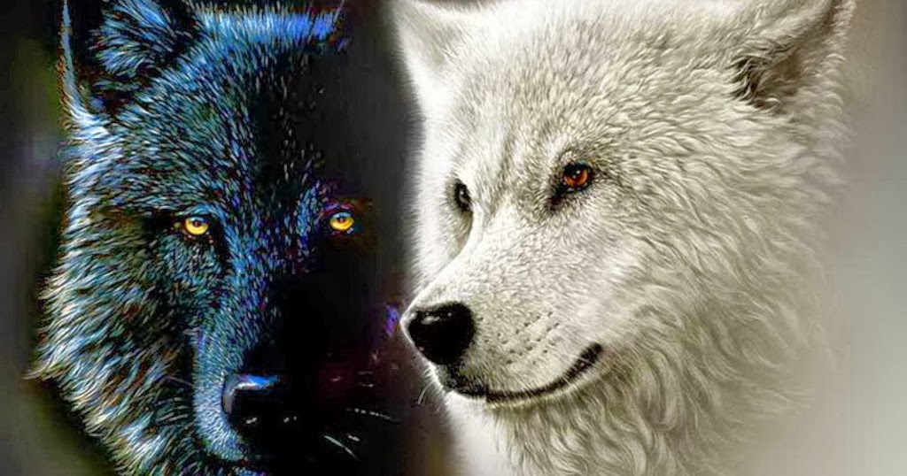 El lobo negro y el lobo blanco (cuento Cherokee)