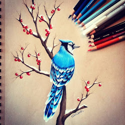 drawings pencil drawing colored animal jay portrait different paper pencils prismacolor styles tan toned winter birds bird coloured cool designstack