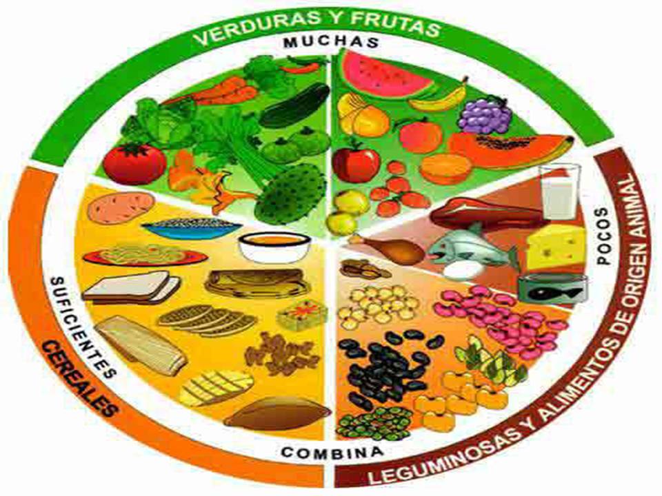 artículo de estilo de vida saludable