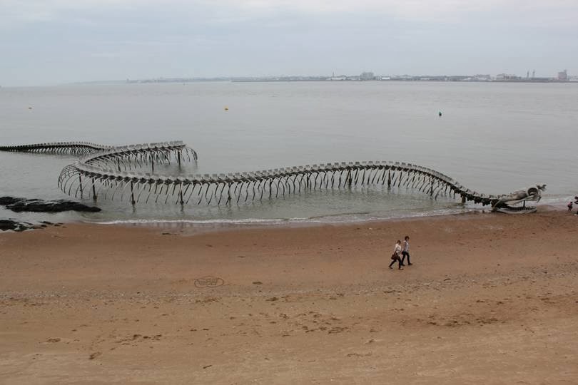 GIANT SNAKE SKELETON IN THE SEA OF FRANCE #Shorts 