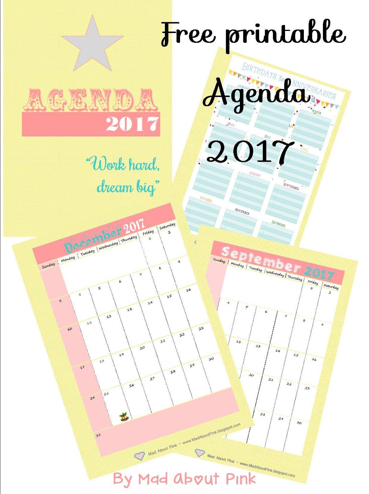 mad about pink free printable 2017 agenda a4 format