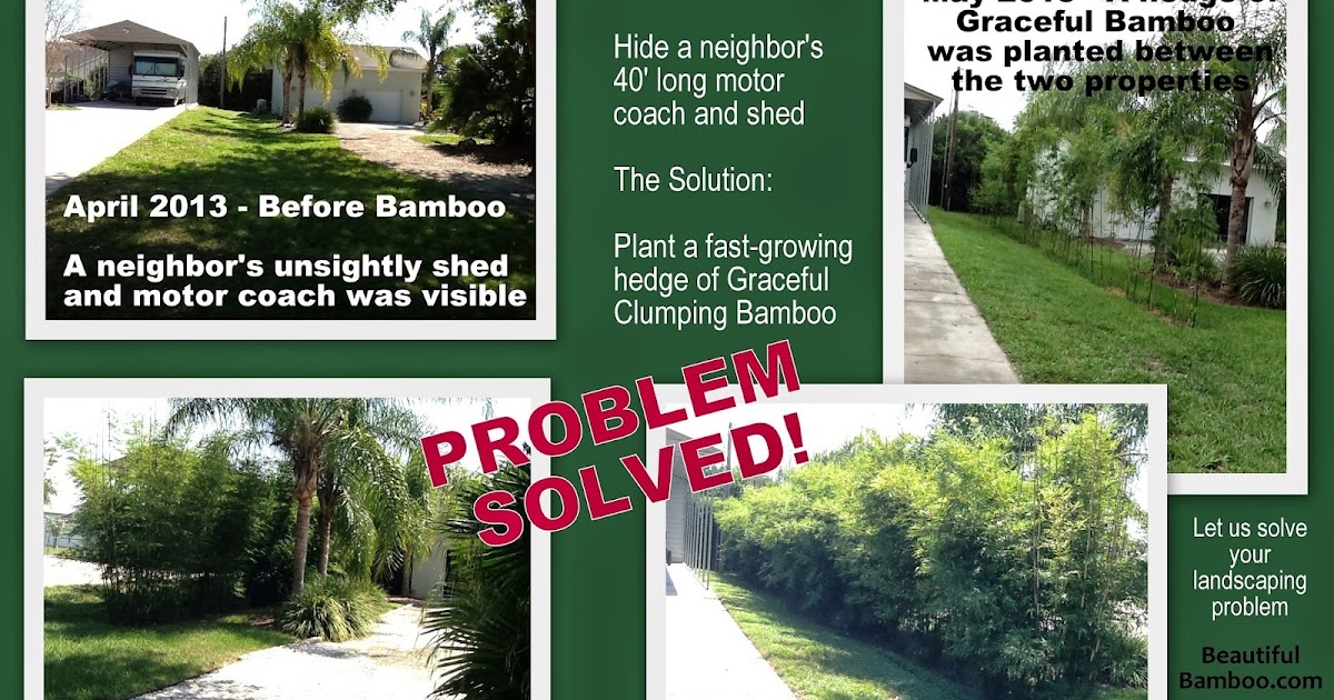 Beautiful Bamboo Customer Comments