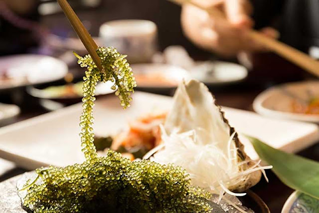Why Are Seaweeds Among The Healthiest Foods On The Planet? Here Are 6 Reasons Why Are Seaweeds Among The Healthiest Foods On The Planet? Here Are 6 Reasons