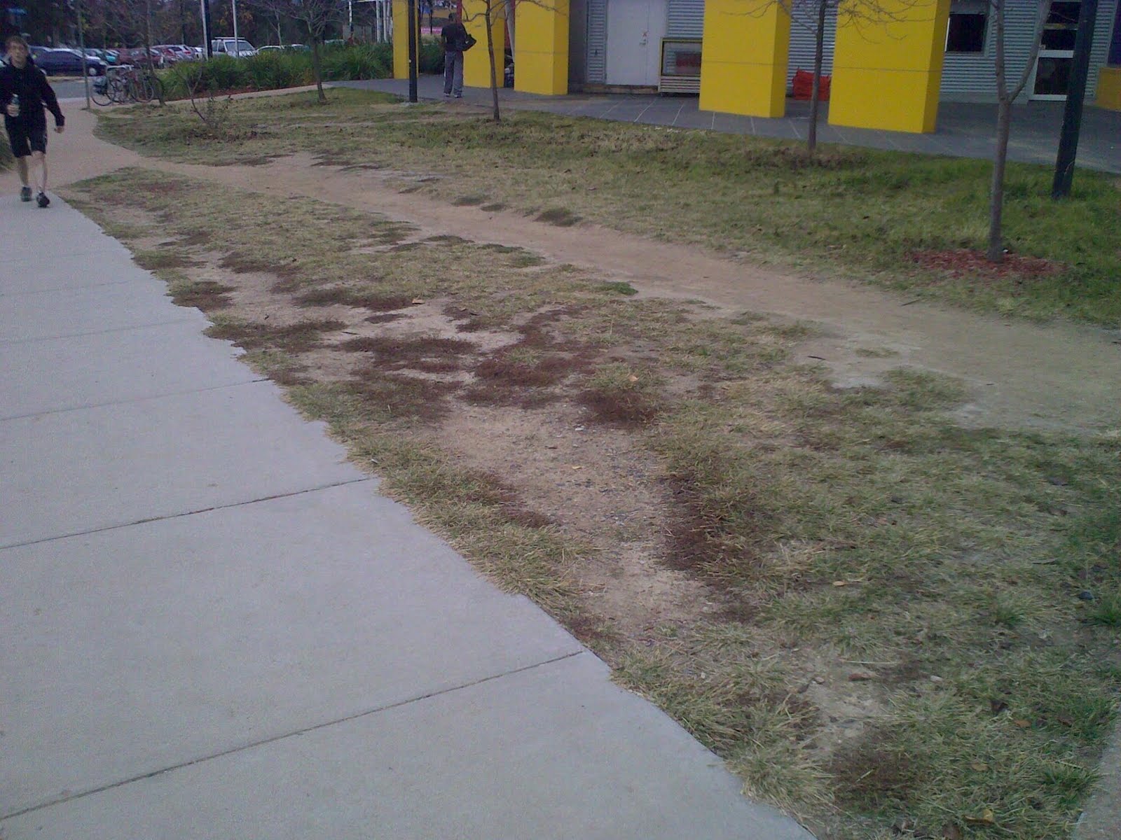 Amy and Trevor's blog: Elephant Paths
