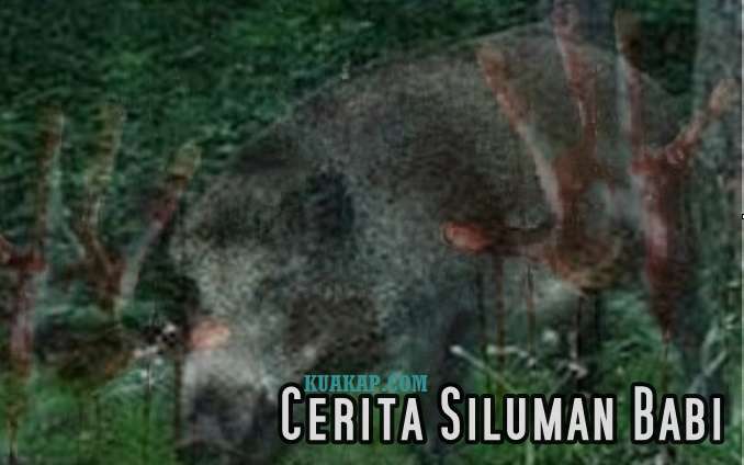 Cerita Misteri Siluman Babi Seorang Janda Jelita Cerita Misteri Siluman Babi Seorang Janda Jelita