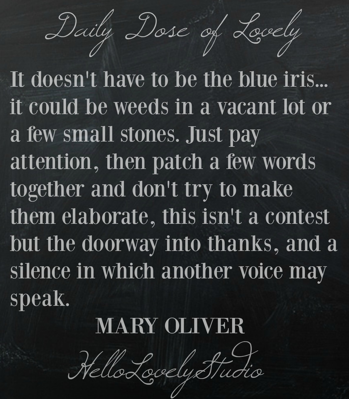 Mary Oliver poetry. It doesn't have to be the blue iris...it could be weeds in a vacant lot or a few small stones. Just pay attention...#maryoliver #poetry #quote #hellolovelystudio