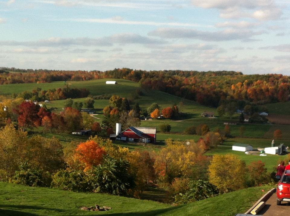 Musings From A Midlife "Crisis"