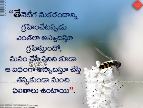 75+ Life Quotes In Telugu With Images