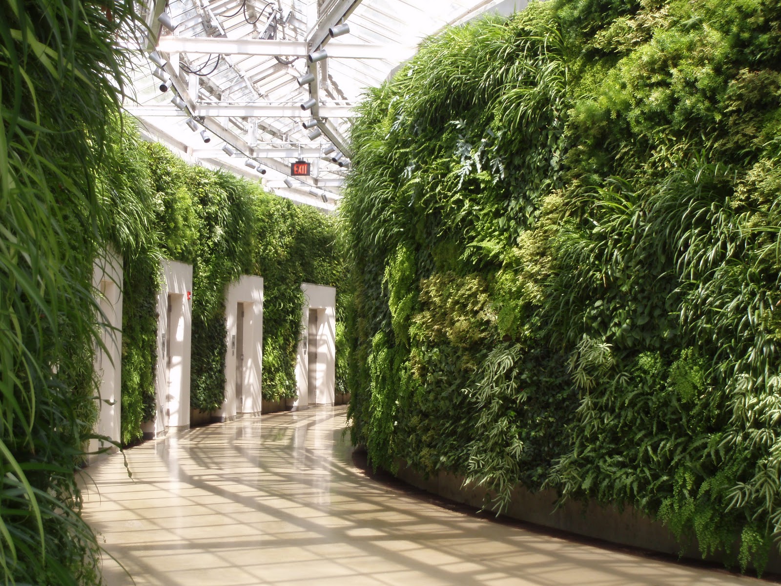 Bay Area Tendrils Longwood Gardens