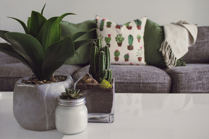 The nature in modern and cool decor How a good team can positively influence your business