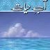 Aabe hayat full novel by umera ahmed pdf download