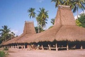 21+ Gambar Rumah Adat Musalaki Dari Ntt Pictures