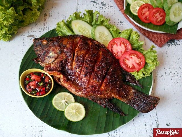 Gambar Ikan Mujair yang Beda dari Ikan Nila