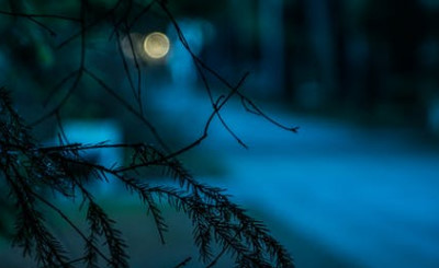 Terjemahan Lirik Lagu Bed of Roses - Bon Jovi