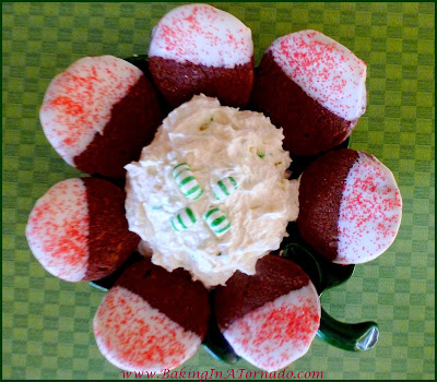 Mint Dessert Dip with Chocolate Cookies: A sweet mint dip paired with chcolate slice and bake cookies, dipped in vanilla bark. A festive dessert dish for the holidays. | Recipe developed by www.BakingInATornado | #recipe #dessert #holidays 