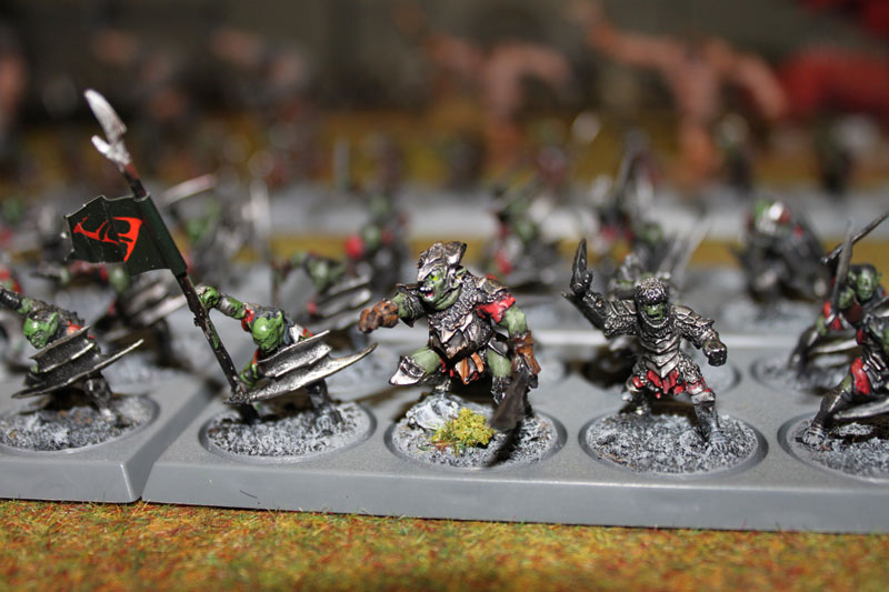 East Grinstead Wargaming Sussex: WOTR: Misty Mountains / Moria Army